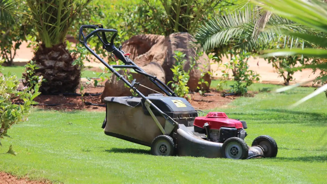10 Benefits of Regular Lawn Mowing