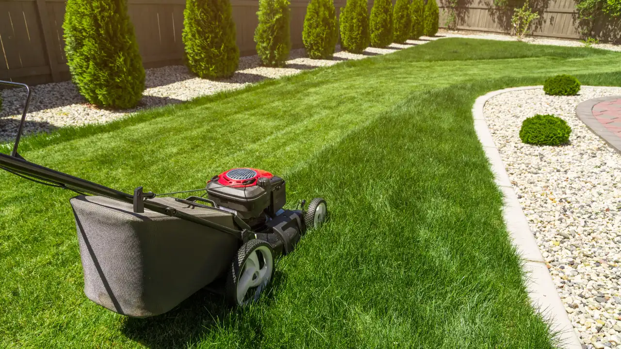 Regular Lawn Mowing and Maintenance