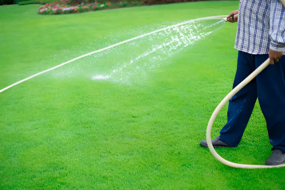 How Often Should You Water Your Lawn