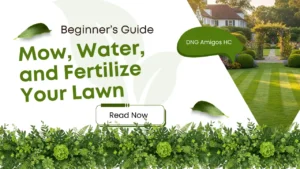How Often Should You Mow, Water, and Fertilize Your Lawn in Texas