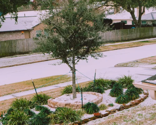 adrian-newell-3j2SH3By-Is-unsplash