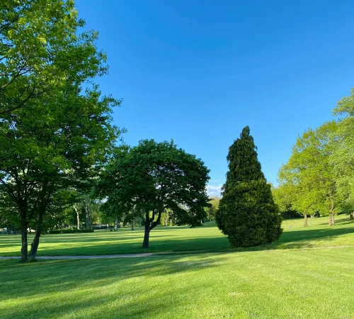 j-kaur-_yxMydB9Zac-unsplash