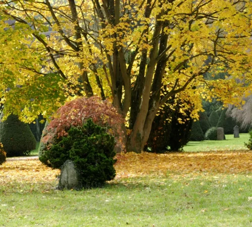 thea-7G5vKvRqdDg-unsplash